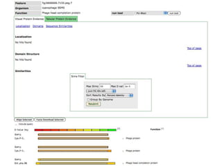phiRAST Tutorial - The 19th Evergreen Phage Meeting 2011