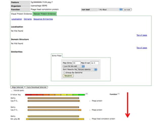 phiRAST Tutorial - The 19th Evergreen Phage Meeting 2011