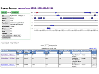phiRAST Tutorial - The 19th Evergreen Phage Meeting 2011