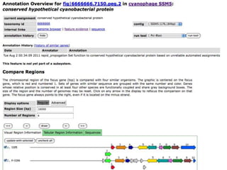 phiRAST Tutorial - The 19th Evergreen Phage Meeting 2011