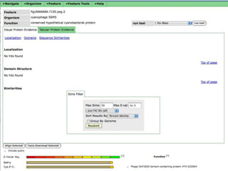 phiRAST Tutorial - The 19th Evergreen Phage Meeting 2011