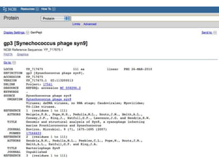 phiRAST Tutorial - The 19th Evergreen Phage Meeting 2011