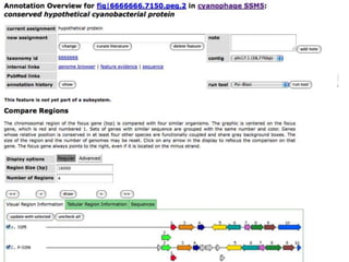 phiRAST Tutorial - The 19th Evergreen Phage Meeting 2011