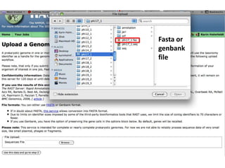 Fasta or genbank file