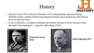 History
 Edward Twort (1915) and Felix d'Herelle (1917) independently reported isolating
filterable entities capable of destroying bacterial cultures and of producing small cleared
areas on bacterial lawns.
 It was F d'Herelle, a Canadian working at the Pasteur Institute in Paris, who gave them
the name "bacteriophages"-- using the suffix phage (1922).
Frederick Twort
1915 Félix d'Hérelle 1917
 