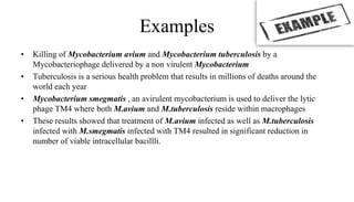 Examples
• Killing of Mycobacterium avium and Mycobacterium tuberculosis by a
Mycobacteriophage delivered by a non virulent Mycobacterium
• Tuberculosis is a serious health problem that results in millions of deaths around the
world each year
• Mycobacterium smegmatis , an avirulent mycobacterium is used to deliver the lytic
phage TM4 where both M.avium and M.tuberculosis reside within macrophages
• These results showed that treatment of M.avium infected as well as M.tuberculosis
infected with M.smegmatis infected with TM4 resulted in significant reduction in
number of viable intracellular bacillli.
 