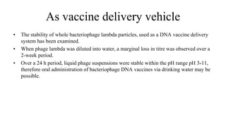 As vaccine delivery vehicle
• The stability of whole bacteriophage lambda particles, used as a DNA vaccine delivery
system has been examined.
• When phage lambda was diluted into water, a marginal loss in titre was observed over a
2-week period.
• Over a 24 h period, liquid phage suspensions were stable within the pH range pH 3-11,
therefore oral administration of bacteriophage DNA vaccines via drinking water may be
possible.
 
