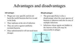 Advantages and disadvantages
Advantages
• Phages are very specific and do not
harm the useful bacteria that live in and
in the body
• They replicate at the site of infection
• They are active against antibiotic
resistant bacteria
• Once administered it will not need more
dosages
Disadvantages
• The great specificity is also a
disadvantage when the exact species of
bacteria is unknown and also in case of
multiple infections
• Infections whose agents are hidden in
the interior of the cells may be
inaccessible to phages
 