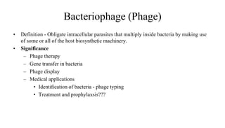 Bacteriophage (Phage)
• Definition - Obligate intracellular parasites that multiply inside bacteria by making use
of some or all of the host biosynthetic machinery.
• Significance
– Phage therapy
– Gene transfer in bacteria
– Phage display
– Medical applications
• Identification of bacteria - phage typing
• Treatment and prophylaxsis???
 