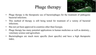 Phage therapy
• Phage therapy is the therapeutic use of bacteriophages for the treatment of pathogenic
bacterial infections.
• This method of therapy is still being tested for treatment of a variety of bacterial
infections.
• Has not yet been approved in countries other than Georgia.
• Phage therapy has many potential applications in human medicines as well as dentistry ,
veterinary science and agriculture.
• Bacteriophages are much more specific (host specific) and have a high therapeutic
index.
 