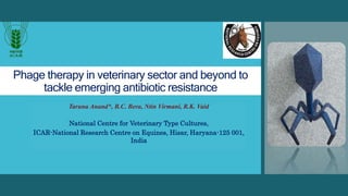 Phage therapy in veterinary sector and beyond to
tackle emerging antibiotic resistance
Taruna Anand*, B.C. Bera, Ntin Virmani, R.K. Vaid
National Centre for Veterinary Type Cultures,
ICAR-National Research Centre on Equines, Hisar, Haryana-125 001,
India
 