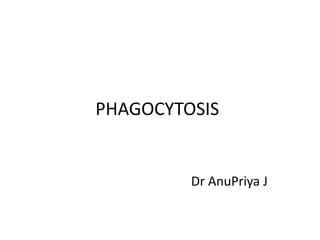 PHAGOCYTOSIS
Dr AnuPriya J
 