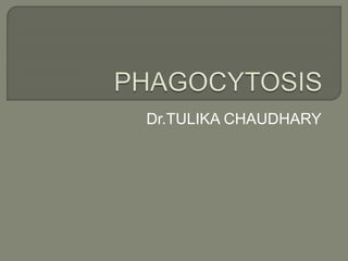 Dr.TULIKA CHAUDHARY
 