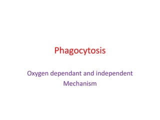 Phagocytosis
Oxygen dependant and independent
Mechanism
 