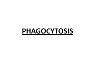 PHAGOCYTOSIS 