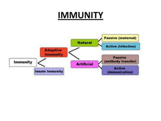 IMMUNITY