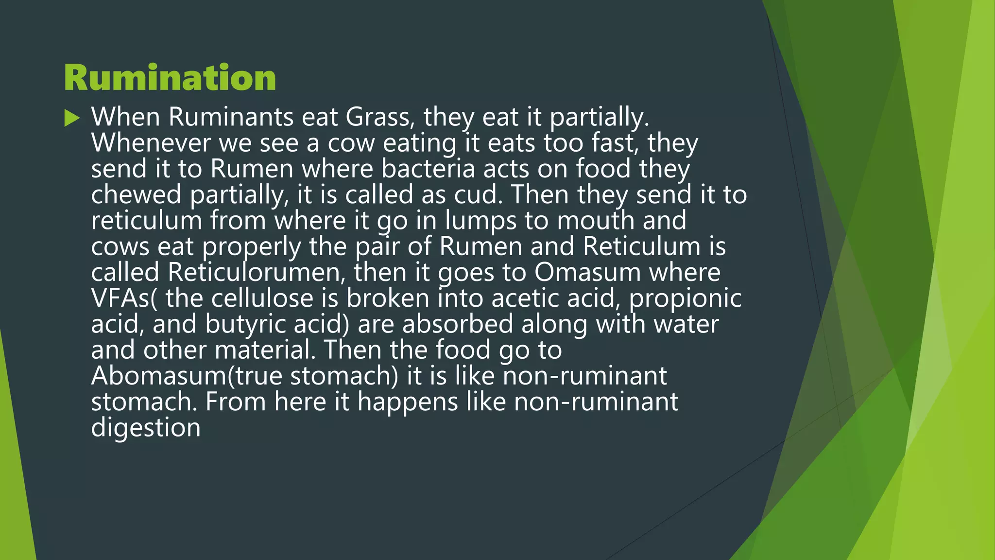 Rumination & Digestion in Amoeba | PPTX