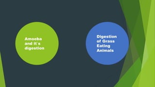 Amoeba
and it`s
digestion
Digestion
of Grass
Eating
Animals
 