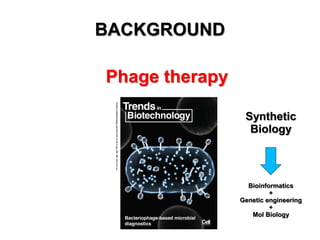 BACKGROUND
Phage therapy
Synthetic
Biology

Bioinformatics
+
Genetic engineering
+
Mol Biology

 