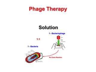 Phage Therapy

Solution
1 - Bacteriophage

1:1
1 - Bacteria

No Chain Reaction

 