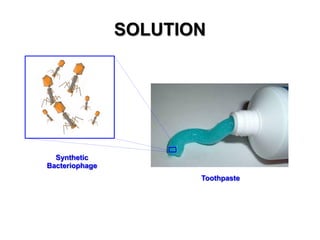 SOLUTION

Synthetic
Bacteriophage
Toothpaste

 
