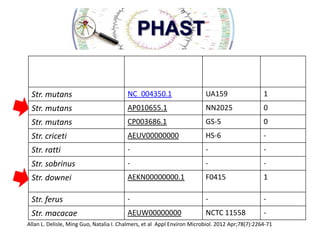 Pathologic Streptococci
(compete genom)

NC number

strain

PHAGE #

Str. mutans

NC_004350.1

UA159

1

Str. mutans

AP010655.1

NN2025

0

Str. mutans

CP003686.1

GS-5

0

Str. criceti

AEUV00000000

HS-6

-

Str. ratti

-

-

-

Str. sobrinus

-

-

-

Str. downei

AEKN00000000.1

F0415

1

Str. ferus

-

-

-

Str. macacae

AEUW00000000

NCTC 11558

-

Allan L. Delisle, Ming Guo, Natalia I. Chalmers, et al Appl Environ Microbiol. 2012 Apr;78(7):2264-71

 