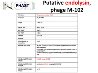Putative endolysin,
phage M-102
Definition:

Streptococcus phage M102

Accession:

NC_012884

Length:

31147 bp

LOCUS_TAG

M102_gp20

ORF START

20879

ORF STOP

21394

STRAND

Forward

REGION

1

REGION intact or
incomplete

39.25

PROTEIN SEQUENCE

MLKKTLAILGLSASLLFVSAHANAHTSRLTLDQTNELYTRLAAEGRGVDT
DQVYGMQCVD
IDTDLTNNYVGIPISGNAIDLLDSARRAGYEIVPANKPPRAGDLFVMDTN
ALYGHPFGHT
GYVYKVNPDGSFETVEQNVGDDSNFYTGTVAKFMHRTRDYMLGYIRLA
YRK

HOMOLOG/ORTHOLOG
SPECIES

PHAGE_Strept_M102

HOMOLOG/ORTHOLOG
PROTEIN

putative endolysin; phage(gi242345591)

HOMOLOG/ORTHOLOG
EVALUE

1e-96

 