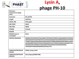 Lysin A,
phage PH-10

Definition:
Streptococcus phage
PH10
Accession:

NC_012756

Length:

31276 bp

LOCUS_TAG

PH10_gp51

ORF START

29525

ORF STOP

30529

STRAND

Forward

REGION

1

REGION intact or
incomplete

39.53

PROTEIN SEQUENCE

MKKNDLFIDVSSHNGYDITGILEQMGTTNTIIKISESTSYMNPCLSAQVEQSNPIGFYHFAWFG
GDIEEAEREARYFLDNVPQKVKYLCLDYEDHASGDKQANTDACIRFMEILKENGYEPIYYSYKP
FTLNNIYYEQILEKFPNSLWIAGYGLNDGTADFEYFPSMDGIRWWQYSSNPYDKNIVLLDDEE
AKPKWKRNDTGWWYEYPDGSYPKEEWEKIDGTWYYFNERGYSIASRWLKDDGKWYYLKE
NGAMAVGWVLVNGKWYYLDASGAMVTGWVQYKDKLYHFKEENGEMSSKEL
VKVEGGWYYVNEDGSRSDKPALDVLPDGLIVTTK

HOMOLOG/ORTHOLOG
SPECIES

PHAGE_Strept_PH10

HOMOLOG/ORTHOLOG
PROTEIN

lysA; phage (gi238821368)

 
