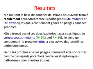 Résultats
•En utilisant la base de données de PHAST nous avons trouvé
rapidement deux Streptococcus pathogènes (Str. mutants et
Str. downei) les quels contiennent gènes de phages dans ses
génomes.

•On a trouvé parmi ces deux bacteriophages specifiques de
streptococcus mutants (M-102 and PH-10), le gène qui
contiennent la protéine lysin, la plus active des protéines
antimicrobiennes.
•Ainsi les protéines de ces phages pourraient être concernés
comme des agents potentiels contre les streptocoques
pathogènes pour d'autres études.

 