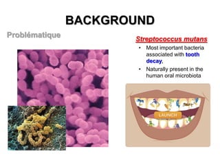 BACKGROUND
Problématique

Streptococcus mutans
• Most important bacteria
associated with tooth
decay,
• Naturally present in the
human oral microbiota

 
