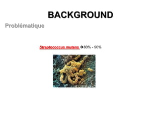 BACKGROUND
Problématique

Streptococcus mutans 80% - 90%

 