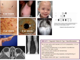 1
2 or more
6 or more
2 or more
or
 