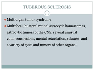 TUBEROUS SCLEROSIS
⚫Multiorgan tumor syndrome
⚫Multifocal, bilateral retinal astrocytic hamartomas,
astrocytic tumors of the CNS, several unusual
cutaneous lesions, mental retardation, seizures, and
a variety of cysts and tumors of other organs.
 