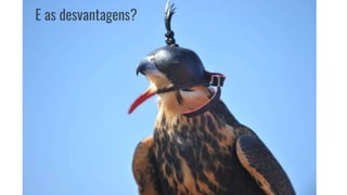 E as desvantagens?
 