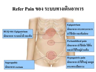 Refer Pain ของ ระบบทางเดินอาหาร
RUQ และ Epigastrium
มักมำจำก ระบบน้ำดี และตับ
Epigastrium
มักมำจำก กระเพำะอำหำร
ลำไส้เล็ก และตับอ่อน
Periumbilical pain
มักมำจำก ลำไส้เล็ก ใส้ติ่ง
และลำไส้ใหญ่ส่วนต้น
Hypogastric pain
มักมำจำก ลำไส้ใหญ่ มดลูก
กระเพำะปัสสำวะ
Suprapubic
มักมำจำก rectum
 
