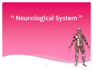 “ Neurological System ”
111
 