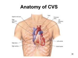 88
Anatomy of CVS
 