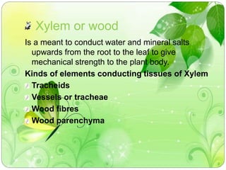 Xylem or wood 
Is a meant to conduct water and mineral salts 
upwards from the root to the leaf to give 
mechanical strength to the plant body. 
Kinds of elements conducting tissues of Xylem 
Tracheids 
Vessels or tracheae 
Wood fibres 
Wood parenchyma 
 