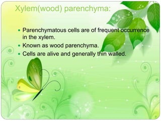 Xylem(wood) parenchyma: 
 Parenchymatous cells are of frequent occurrence 
in the xylem. 
 Known as wood parenchyma. 
 Cells are alive and generally thin walled. 
 