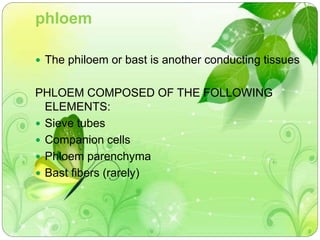phloem 
 The philoem or bast is another conducting tissues 
PHLOEM COMPOSED OF THE FOLLOWING 
ELEMENTS: 
 Sieve tubes 
 Companion cells 
 Phloem parenchyma 
 Bast fibers (rarely) 
 