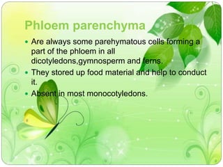 Phloem parenchyma 
 Are always some parehymatous cells forming a 
part of the phloem in all 
dicotyledons,gymnosperm and ferns. 
 They stored up food material and help to conduct 
it. 
 Absent in most monocotyledons. 
 