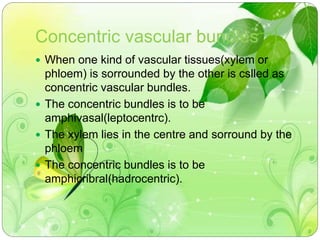 Concentric vascular bundles 
 When one kind of vascular tissues(xylem or 
phloem) is sorrounded by the other is cslled as 
concentric vascular bundles. 
 The concentric bundles is to be 
amphivasal(leptocentrc). 
 The xylem lies in the centre and sorround by the 
phloem 
 The concentric bundles is to be 
amphicribral(hadrocentric). 
 