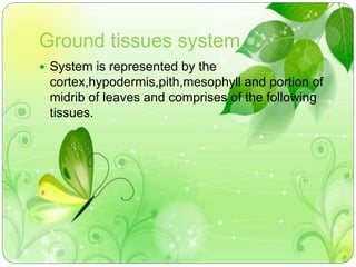 Ground tissues system 
 System is represented by the 
cortex,hypodermis,pith,mesophyll and portion of 
midrib of leaves and comprises of the following 
tissues. 
 