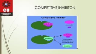 Comprehensive Overview of Pharmacodynamics and Drug Mechanisms of ...