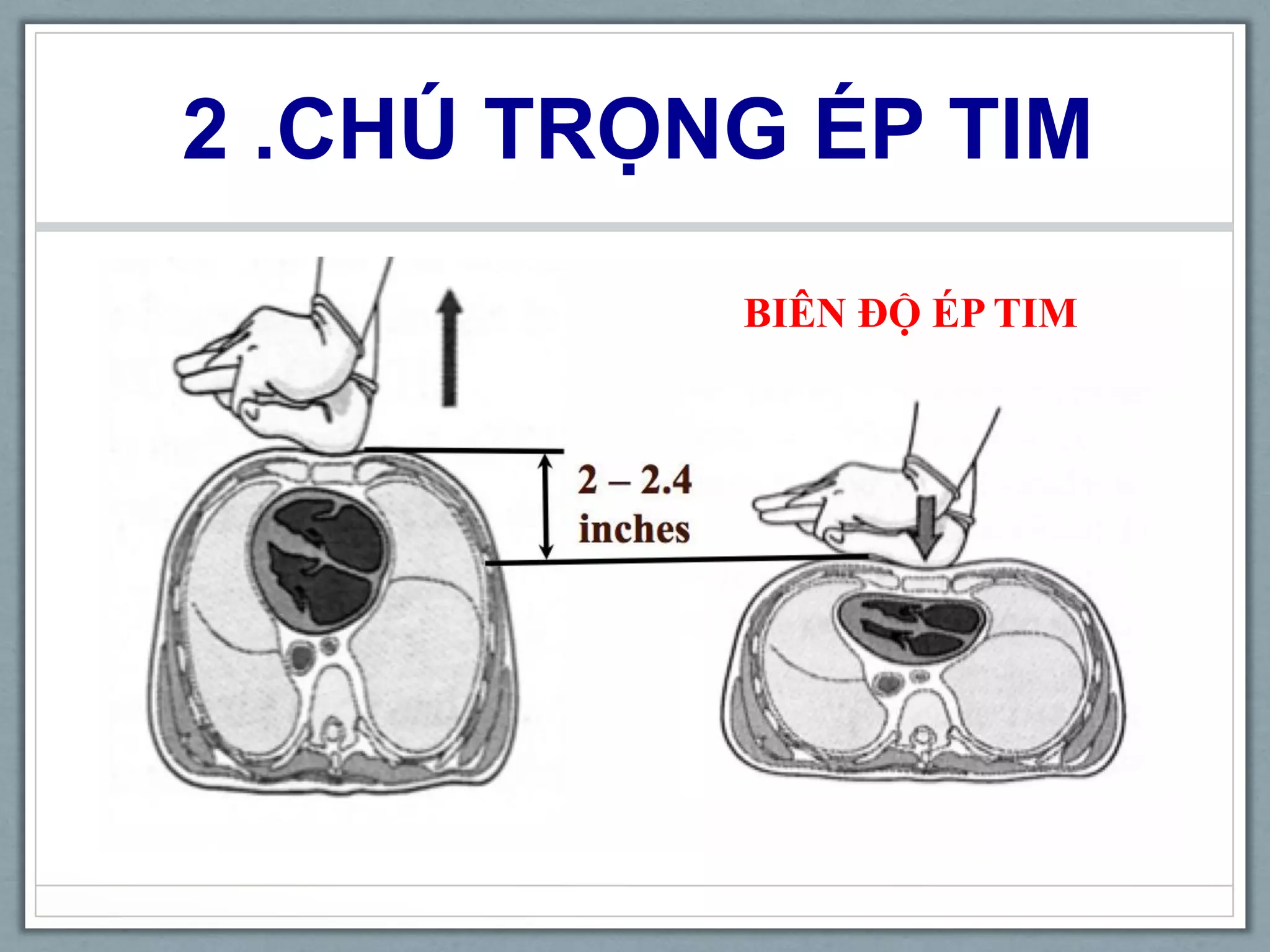 2 .CHÚ TRỌNG ÉP TIM
BIÊN ĐỘ ÉP TIM
 