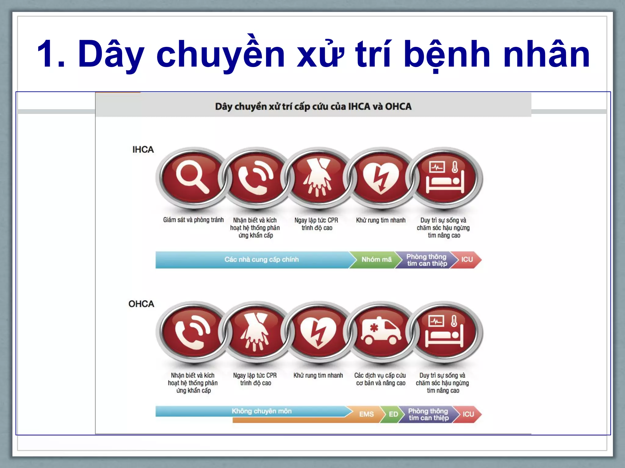 1. Dây chuyền xử trí bệnh nhân
 