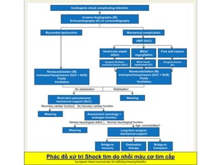 Sốc tim | PDF