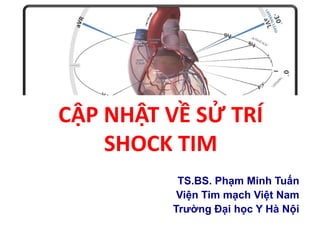 CẬP NHẬT VỀ SỬ TRÍ
SHOCK TIM
TS.BS. Phạm Minh Tuấn
Viện Tim mạch Việt Nam
Trƣờng Đại học Y Hà Nội
 