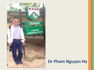 Dr Pham Nguyen Ha
 