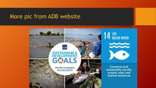 More pic from ADB website
 